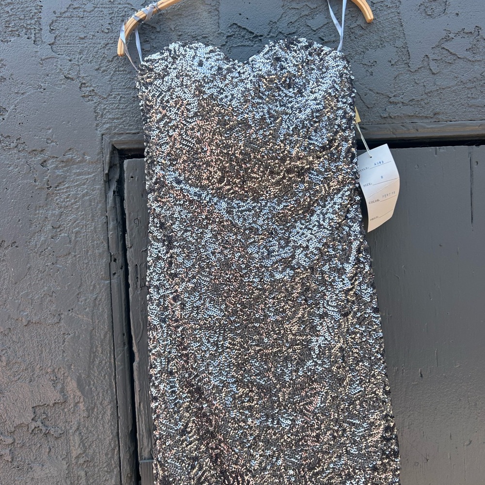 Elegant Silver Sequin Dress
